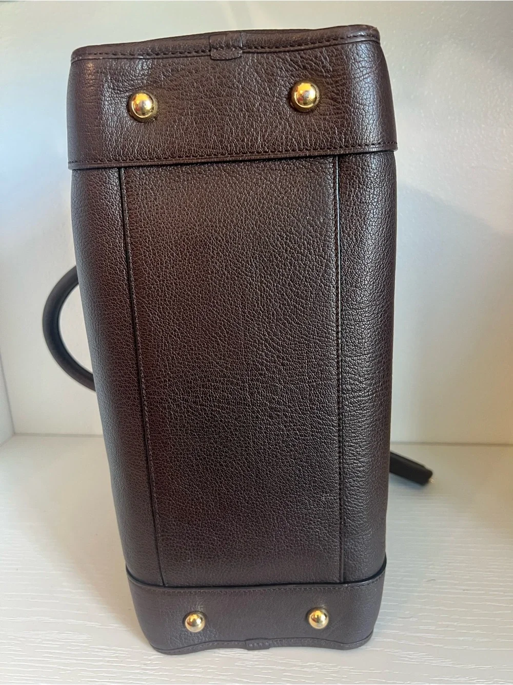 Loewe Amazona Bag